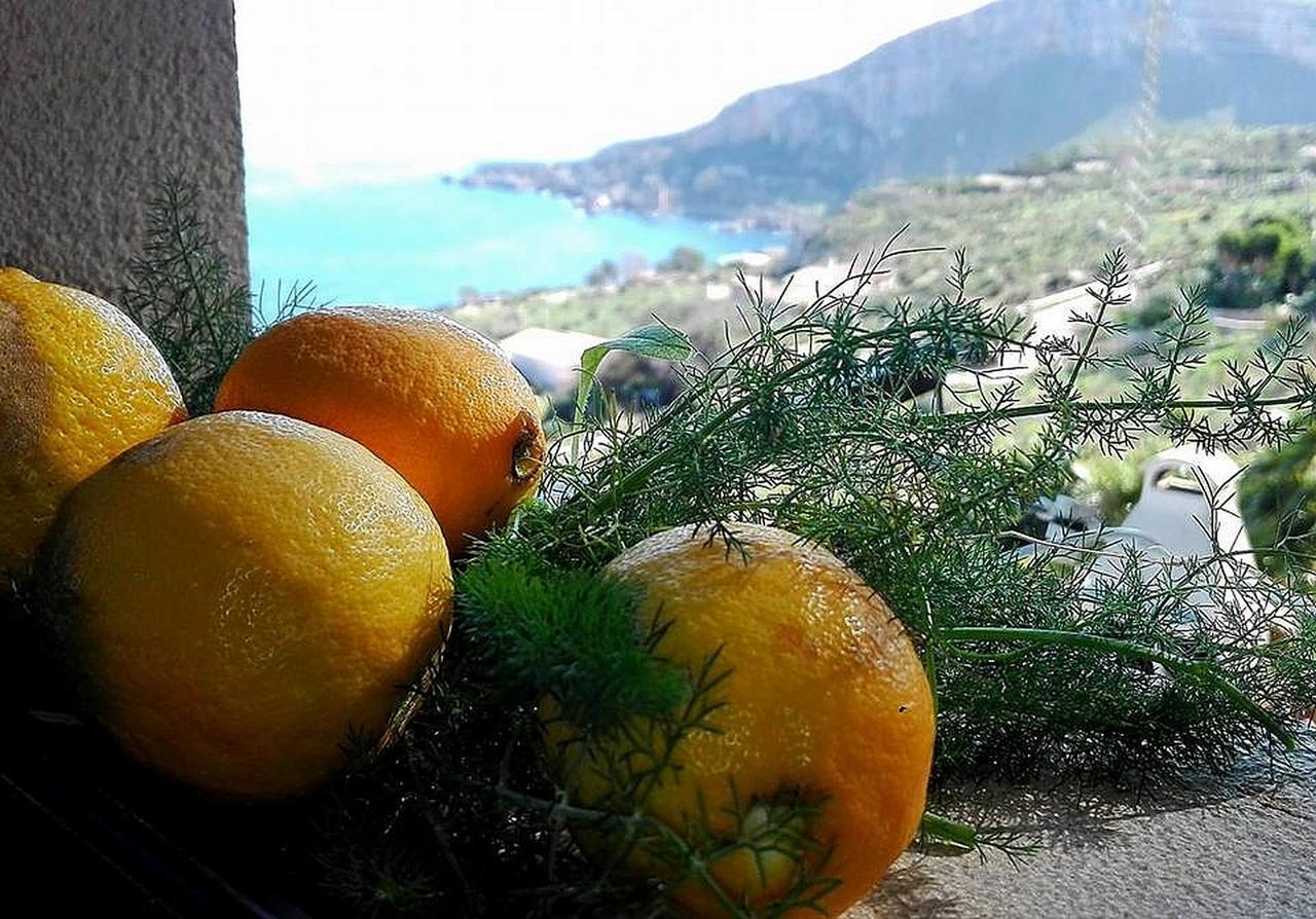 Villa Costa Sauci San Vito Lo Capo Dış mekan fotoğraf